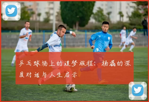 乒乓球场上的追梦旅程：杨磊的深度对话与人生启示
