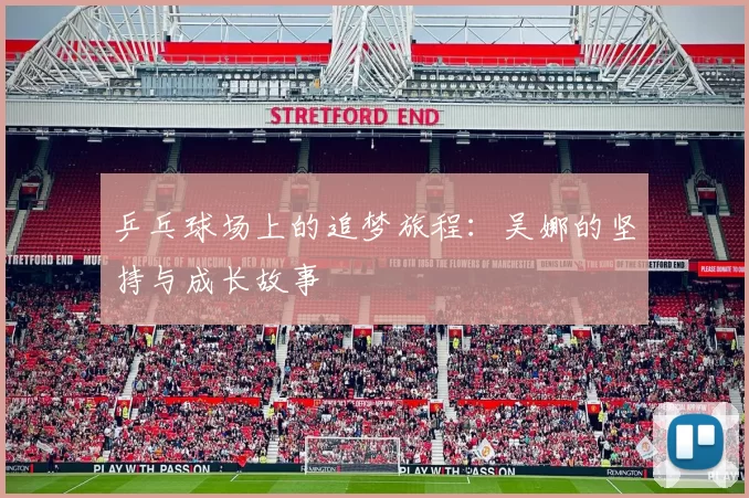 乒乓球场上的追梦旅程：吴娜的坚持与成长故事