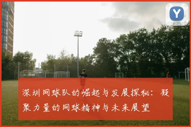 深圳网球队的崛起与发展探秘：凝聚力量的网球精神与未来展望