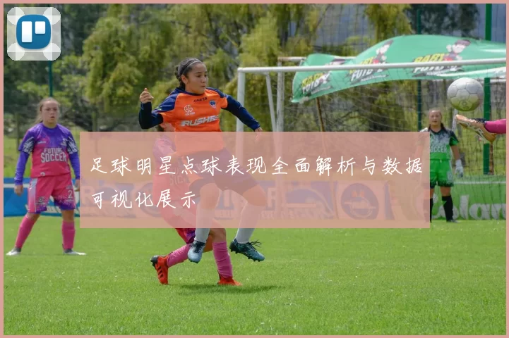 足球明星点球表现全面解析与数据可视化展示