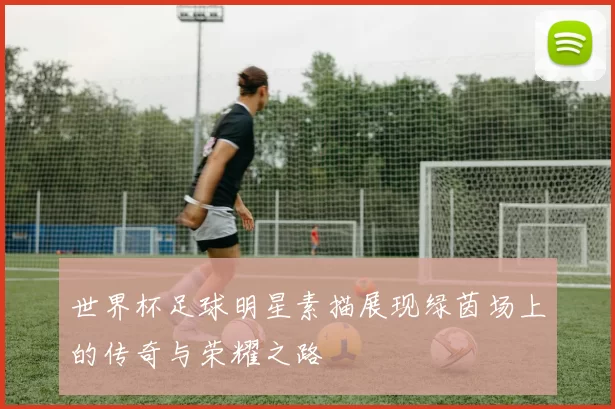世界杯足球明星素描展现绿茵场上的传奇与荣耀之路