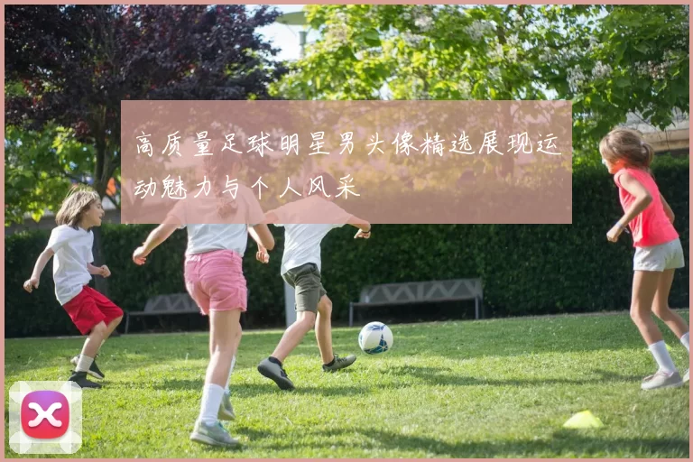高质量足球明星男头像精选展现运动魅力与个人风采