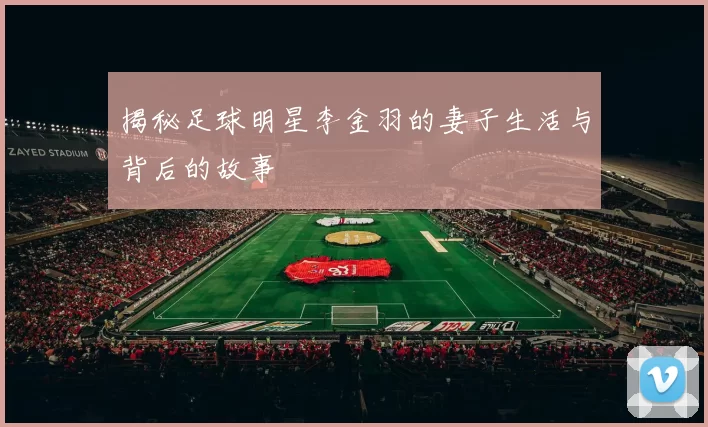 揭秘足球明星李金羽的妻子生活与背后的故事
