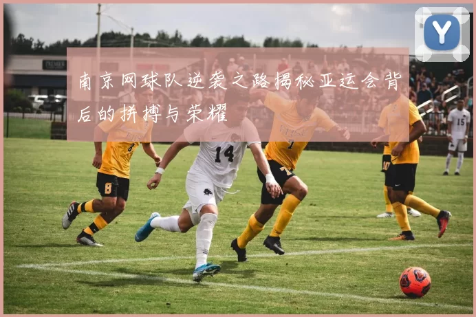 南京网球队逆袭之路揭秘亚运会背后的拼搏与荣耀