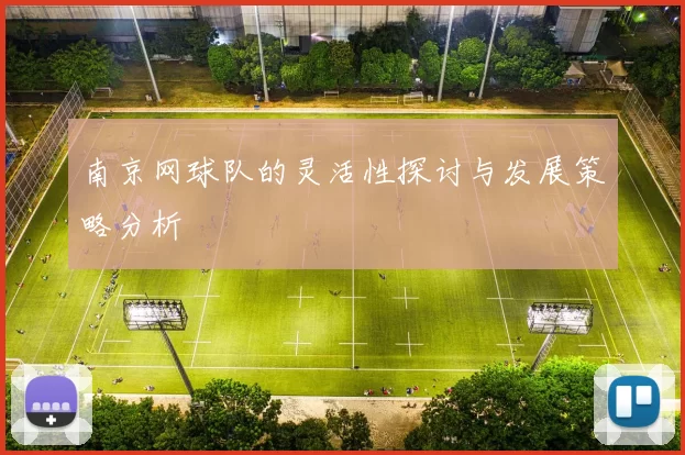 南京网球队的灵活性探讨与发展策略分析