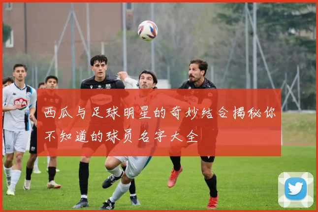 西瓜与足球明星的奇妙结合揭秘你不知道的球员名字大全