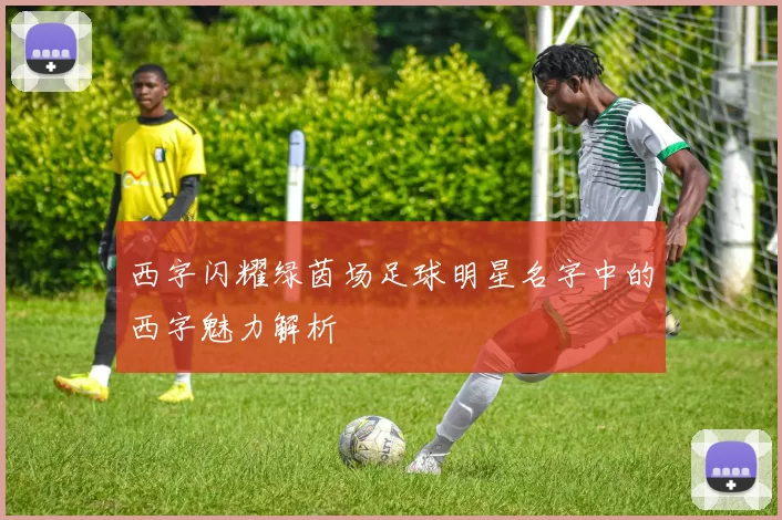 西字闪耀绿茵场足球明星名字中的西字魅力解析