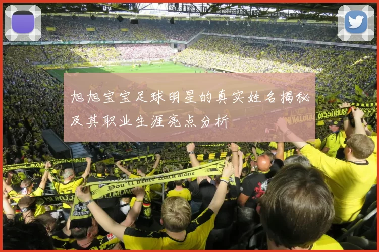 旭旭宝宝足球明星的真实姓名揭秘及其职业生涯亮点分析
