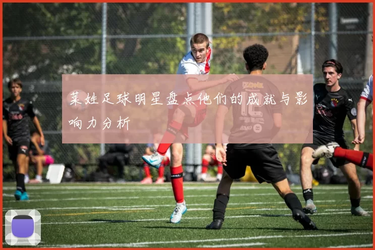 莱姓足球明星盘点他们的成就与影响力分析