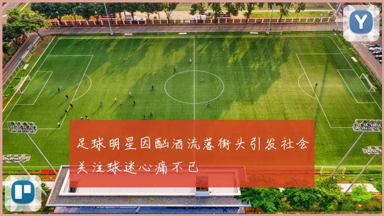 足球明星因酗酒流落街头引发社会关注球迷心痛不已