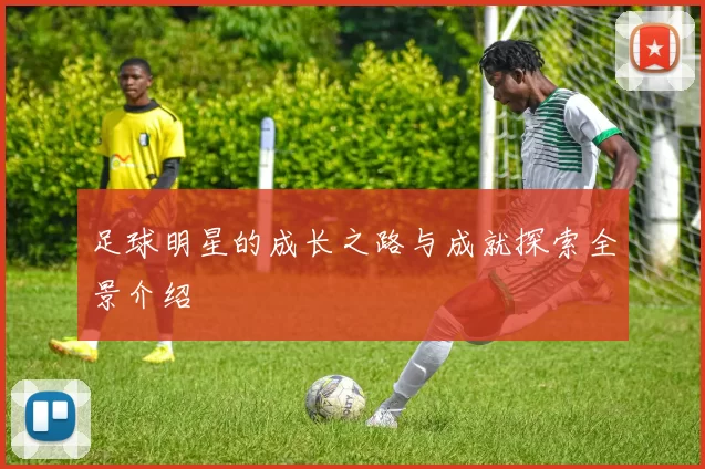 足球明星的成长之路与成就探索全景介绍